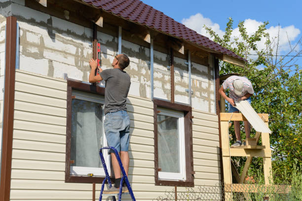 Professional Siding in Forreston, IL